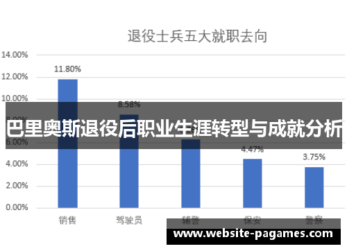 巴里奥斯退役后职业生涯转型与成就分析 巴里奥斯退役后职业生涯转型与成就分析