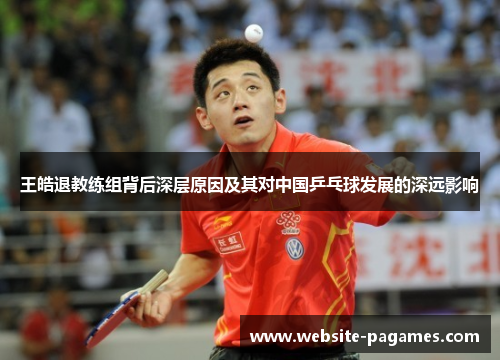 王皓退教练组背后深层原因及其对中国乒乓球发展的深远影响