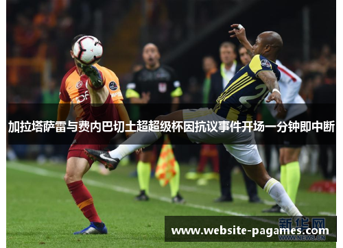 加拉塔萨雷与费内巴切土超超级杯因抗议事件开场一分钟即中断 加拉塔萨雷与费内巴切土超超级杯因抗议事件开场一分钟即中断